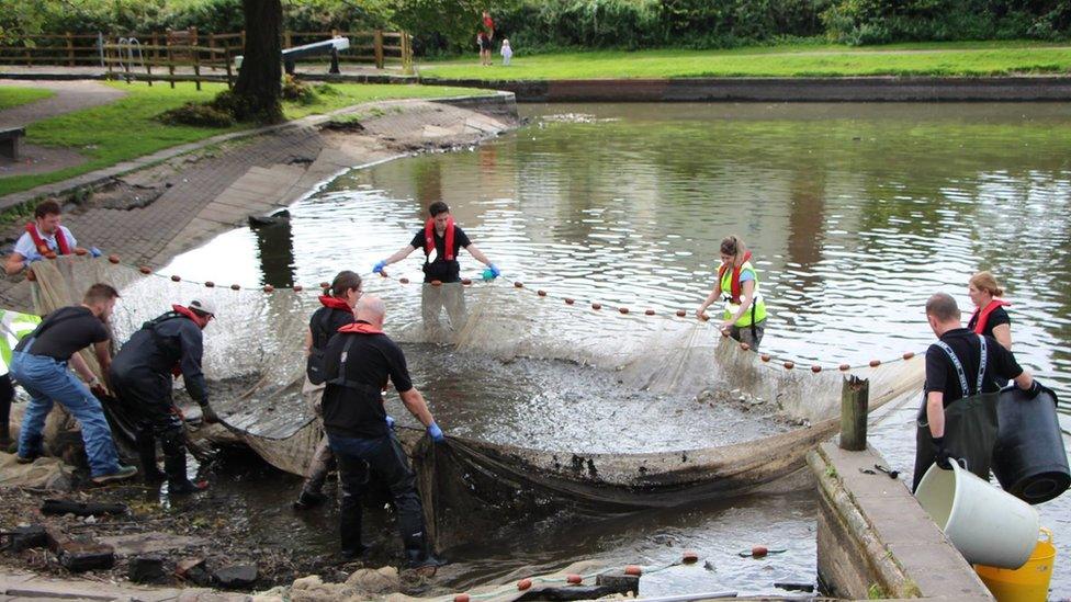 Fish rescuers