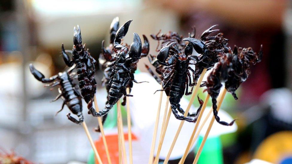 Scorpion on a stick