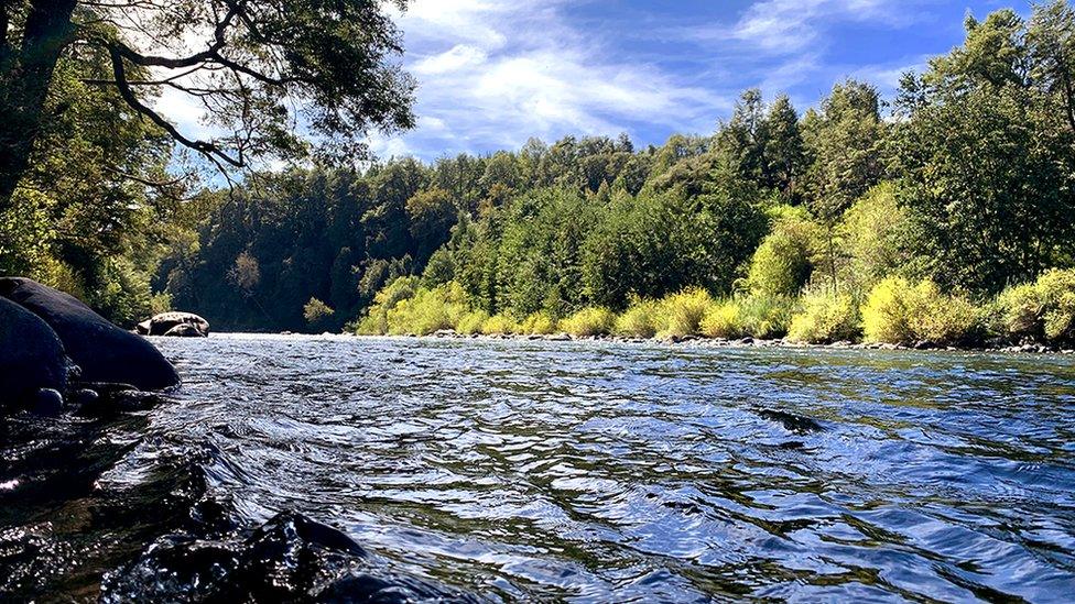 The Cautín River in southern Chile