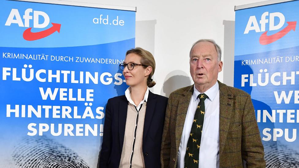 AfD leaders, Sept 2017