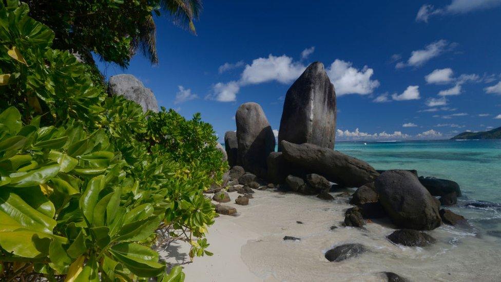 A scene of paradise in the Seychelles