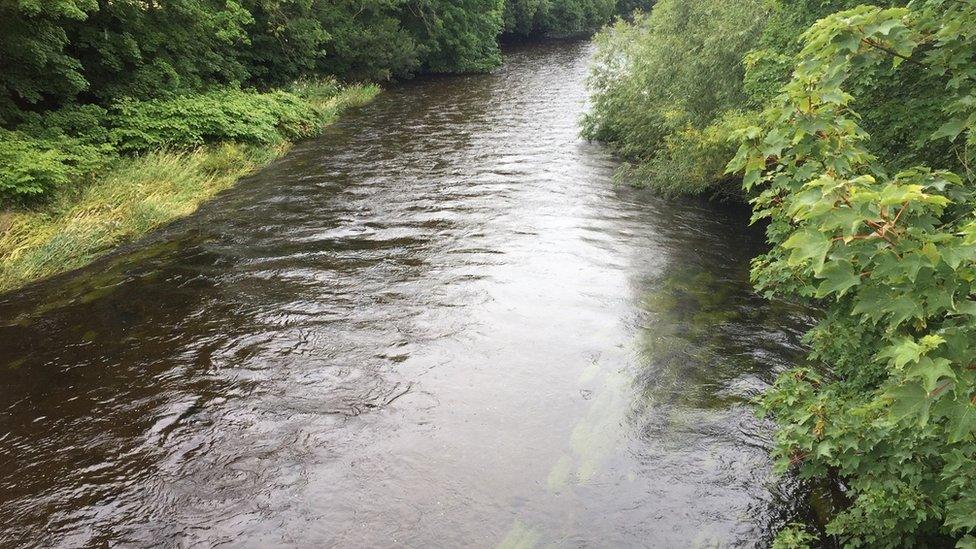 River Rheidol