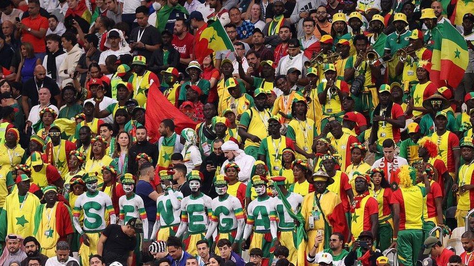 Senegal fans in the stadium