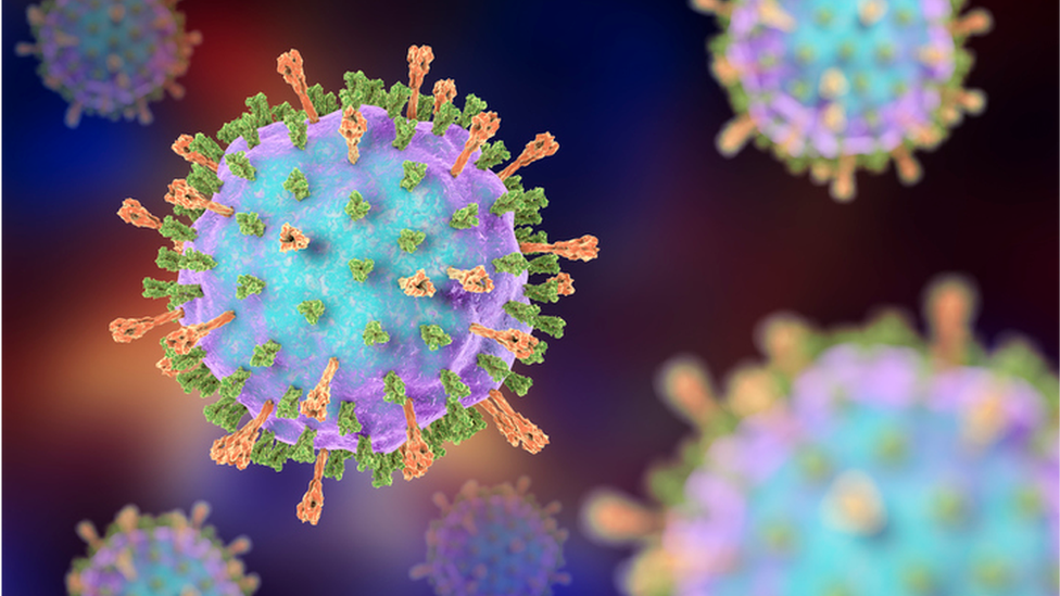 A 3D image of the mumps virus