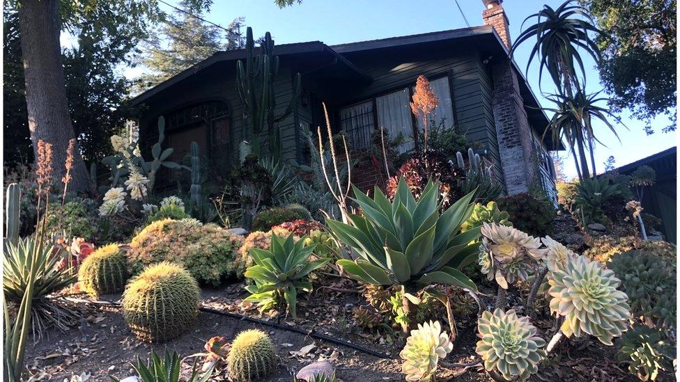 A sloping front yard in Silver Lake, California