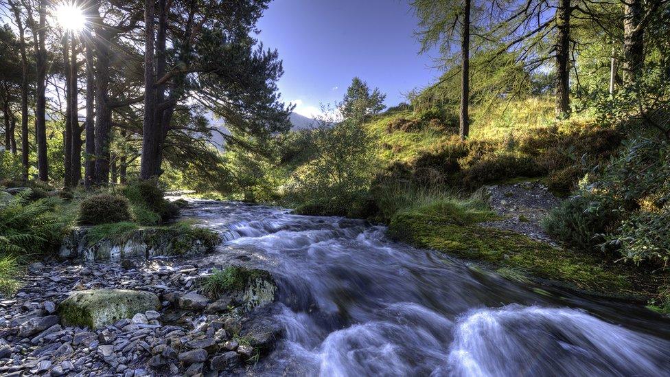 A mountain stream in the Ogwen Valley