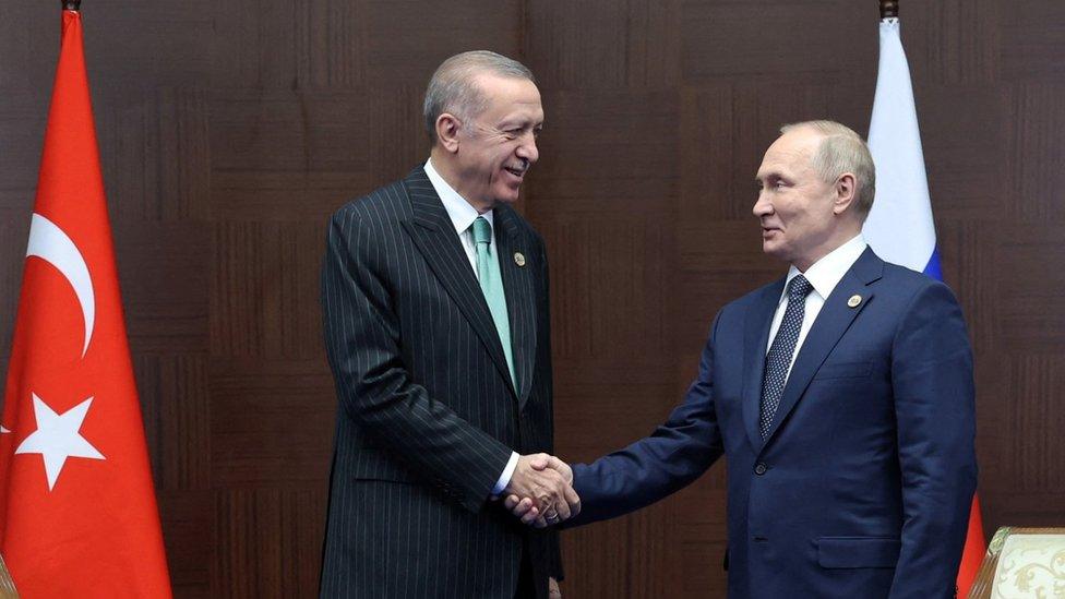 Turkish President Recep Tayyip Erdogan (left) shakes hands with his Russian counterpart Vladimir Putin. File photo