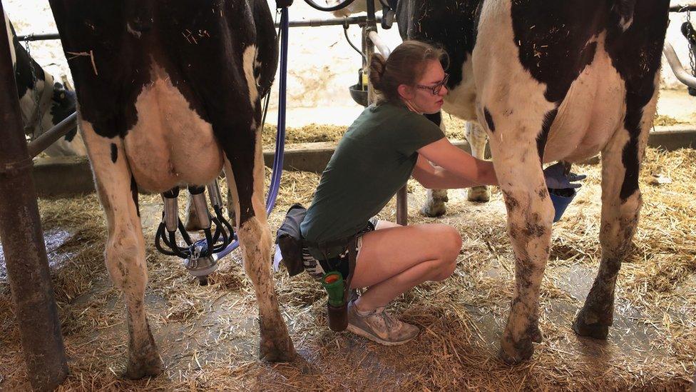 A farmer worker in Wisconsin