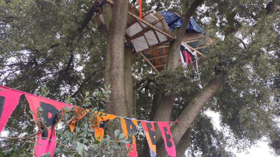 Treehouse build by protesters