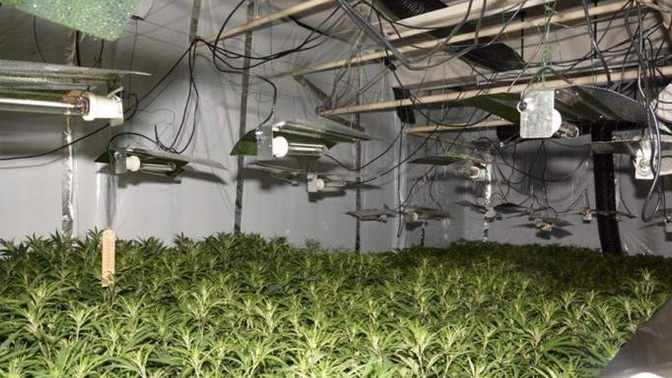 The cannabis farm found at the former Store Twenty One store in Lord Street in Fleetwood