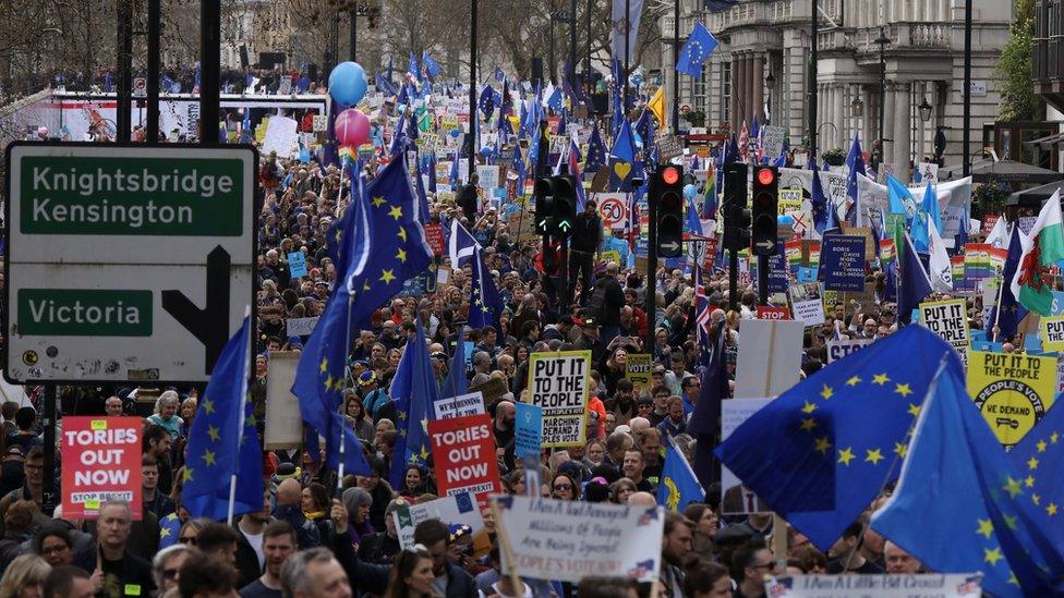 Protesters at the People's Vote march