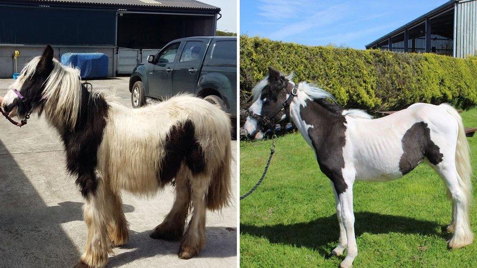 Mr Melvin Andrews before and after rescue