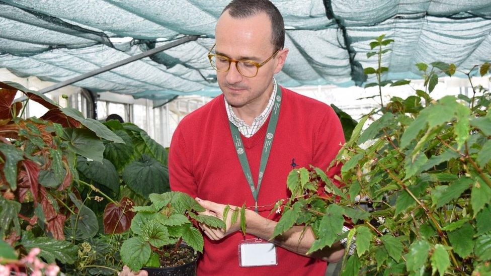 Scientist at work in the gardens