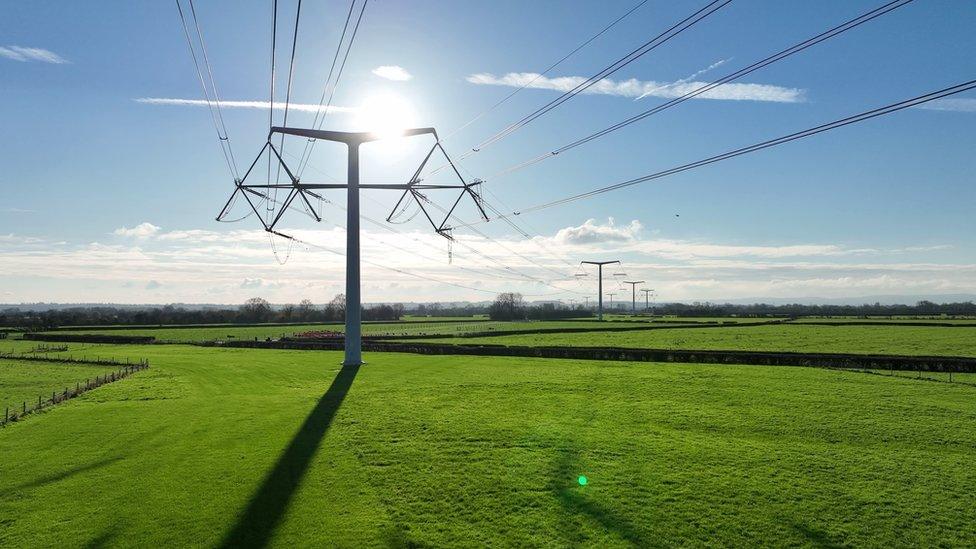 T-pylons installed in Somerset