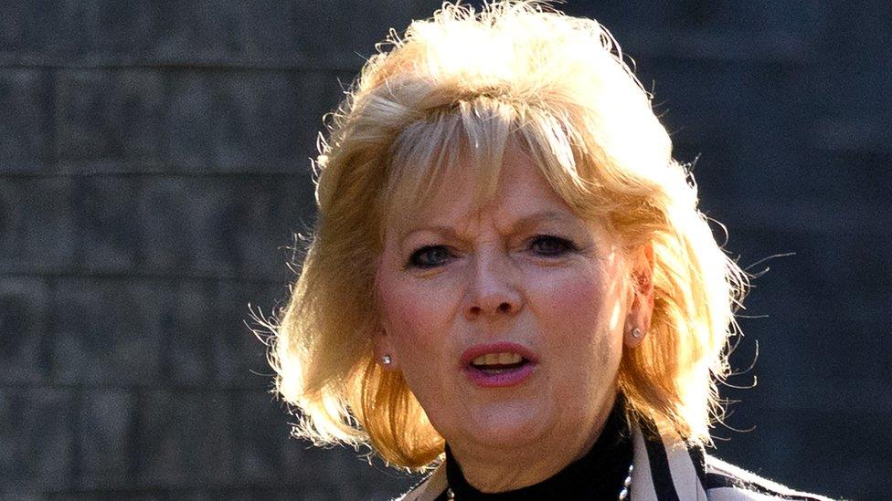 Anna Soubry