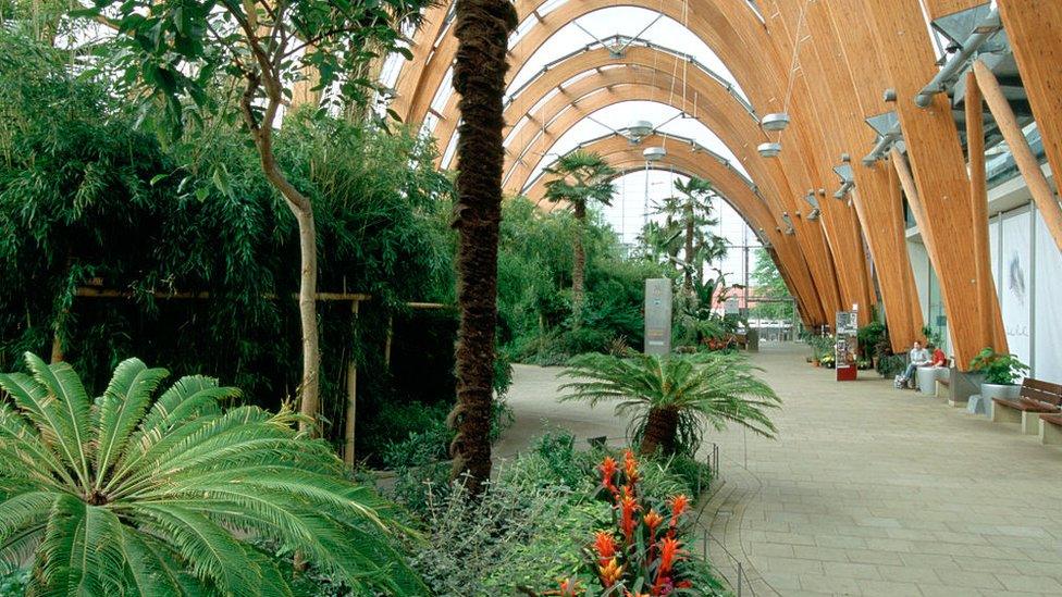 Sheffield Winter Gardens