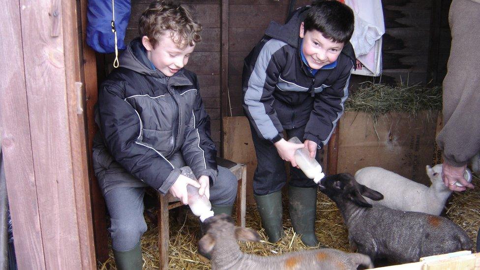 Julie Steele's son Joseph and his friend helping to feed the lambs