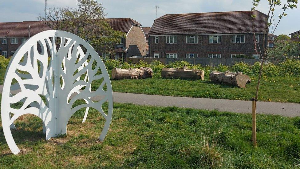 Tree of Reflection in Elm Grove Park, Eastbourne