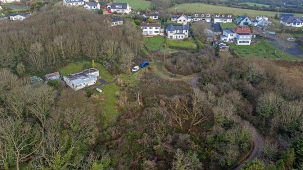 Aerial image of felled trees