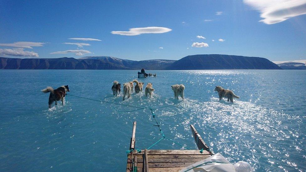 Steffen Olsen's picture of sea ice