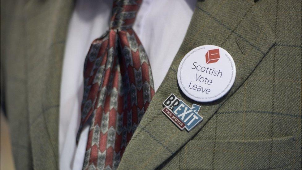 scottish vote leave badge