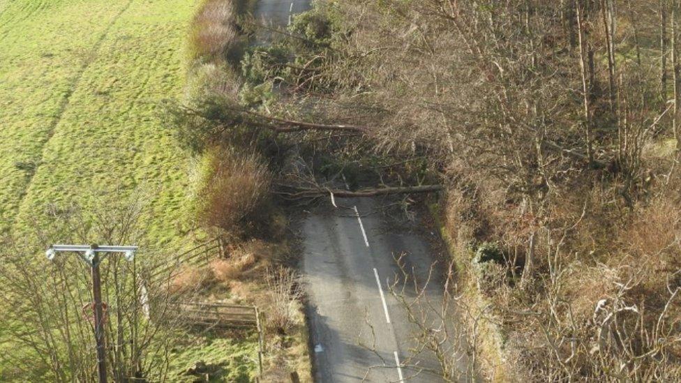 Aerial view of trees fallen on road