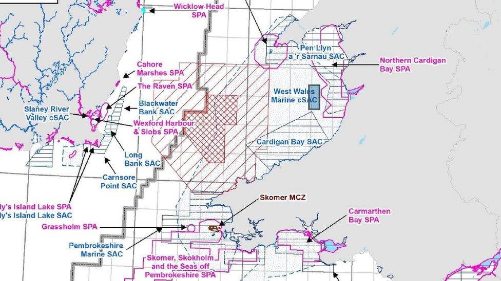 A map showing the area of Cardigan Bay that Eni would like to survey