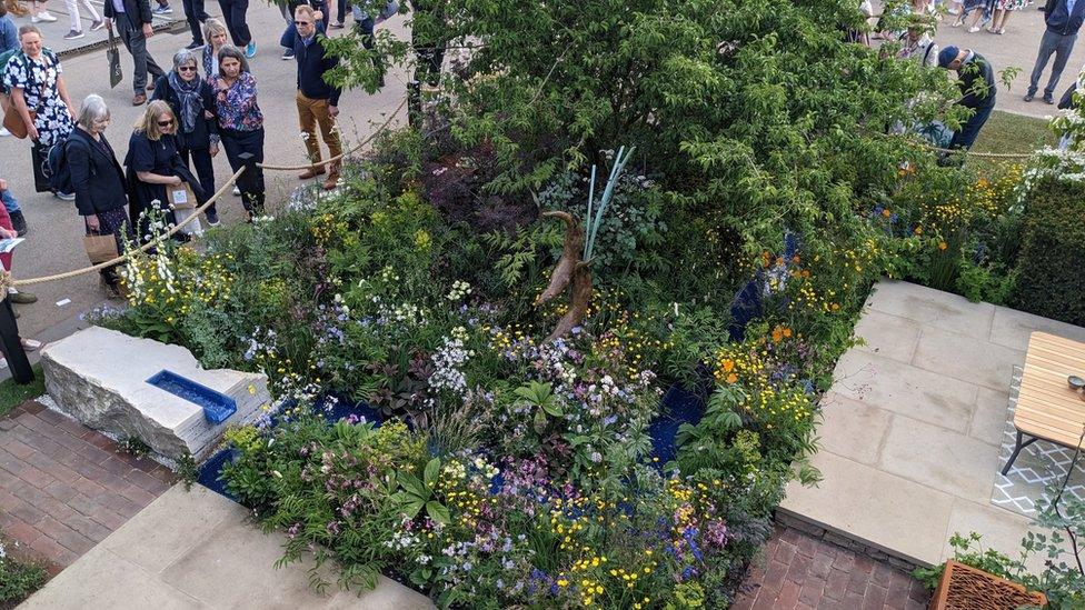 Spectators looking at the RSPCA Garden