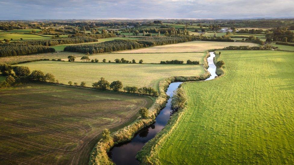 NI countryside