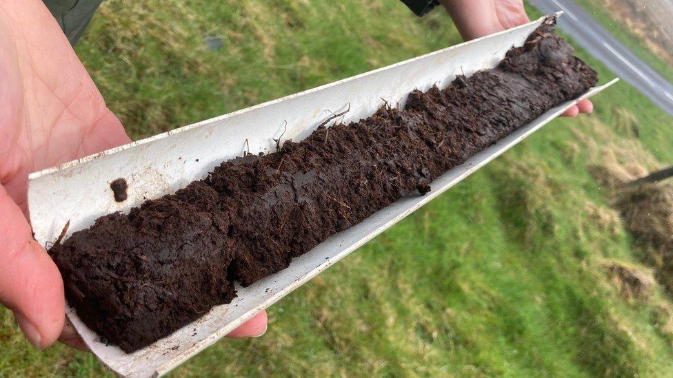 Peat core sample