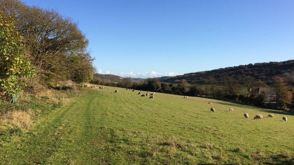 The view of Farthingloe