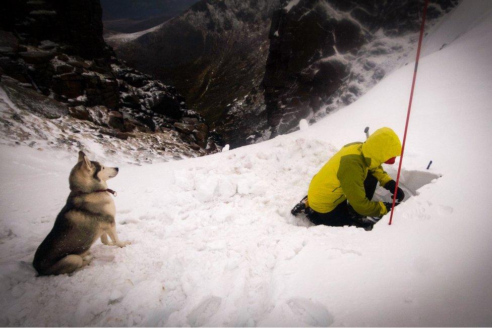 SAIS in Southern Cairngorms