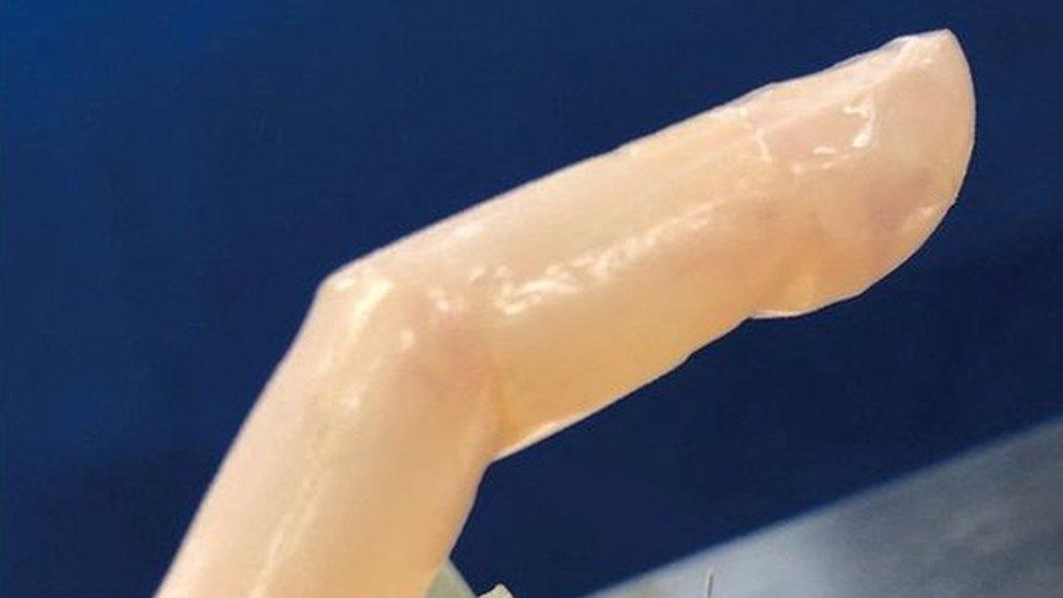 robot finger with living skin