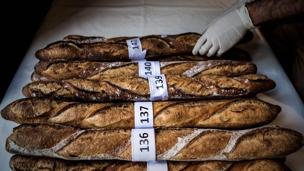 Baguettes being judged during a Paris competition April, 2017