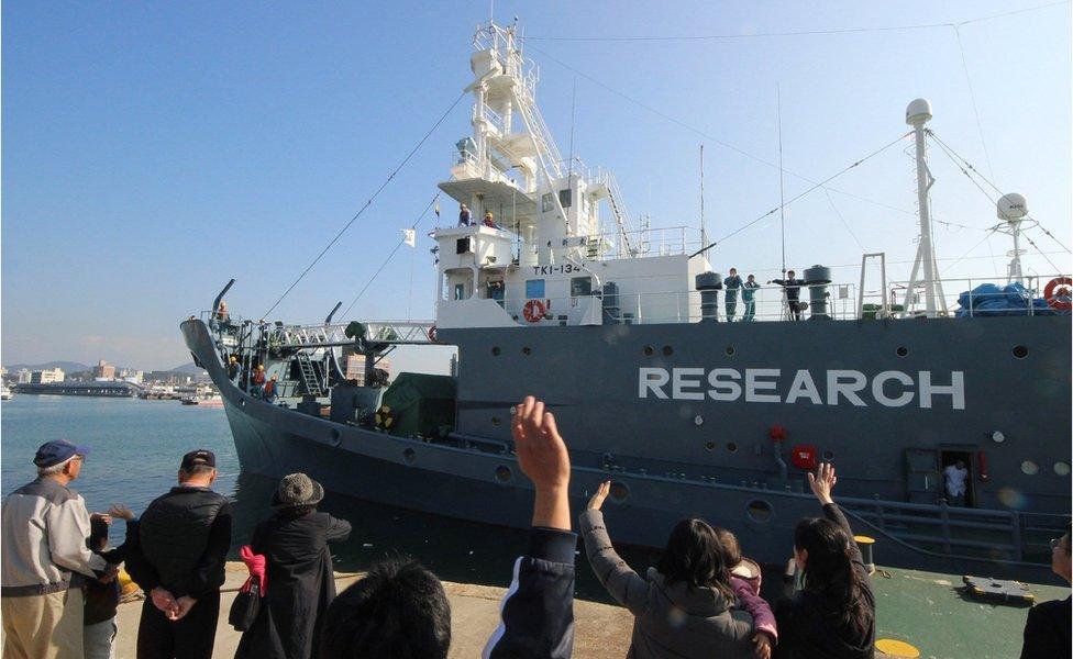 A Japanese whaling ship leaves the port of Shimonoseki in Yamaguchi prefecture, south-western Japan on 1 December 2015, with the word "research" painted on the side