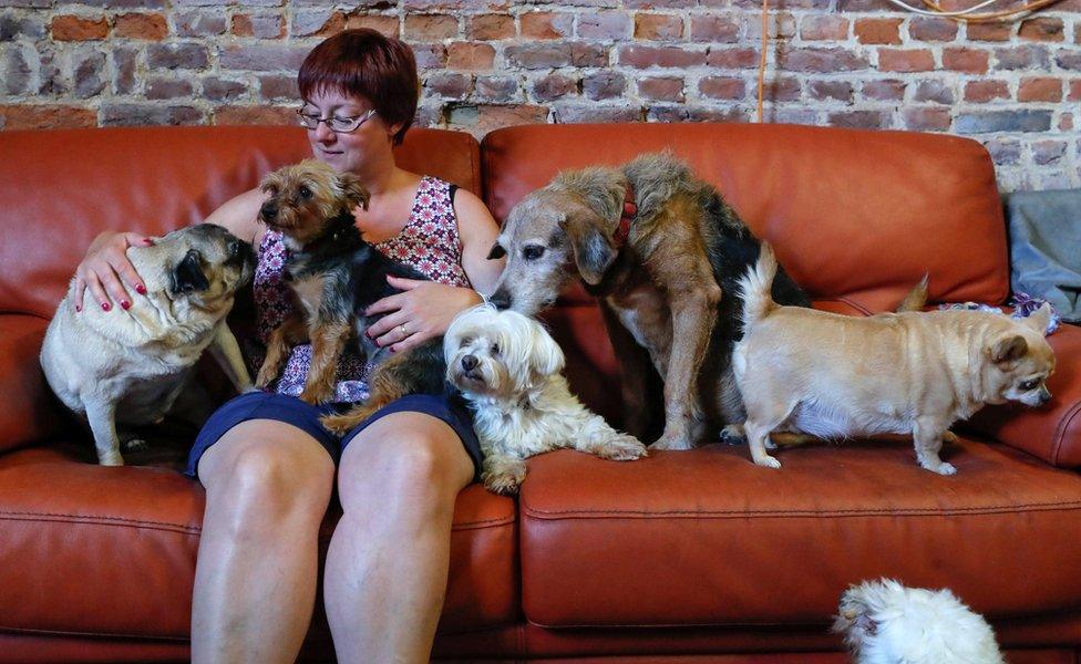 Valerie Luycx, a founder of the association "Les Petits Vieux" acting as home for elderly animals, sits among some of the hundreds of pets