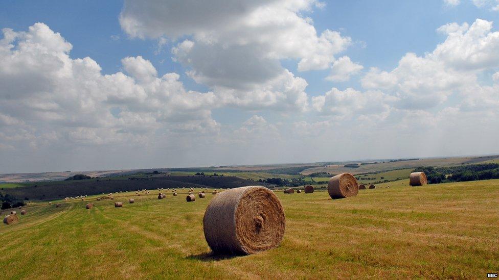 Salisbury Plain