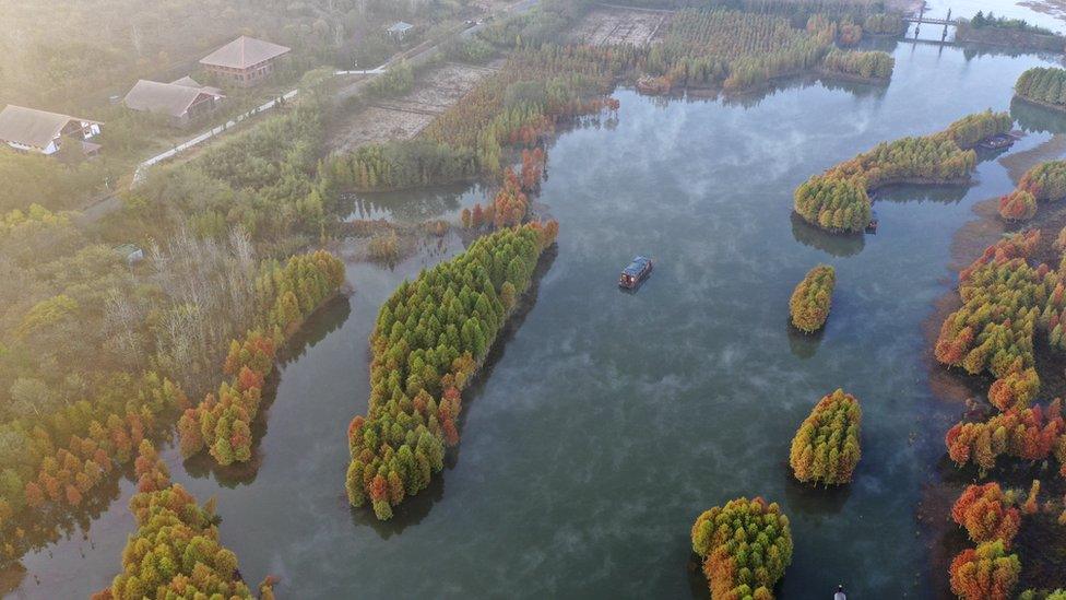 Amazon drone shot from above