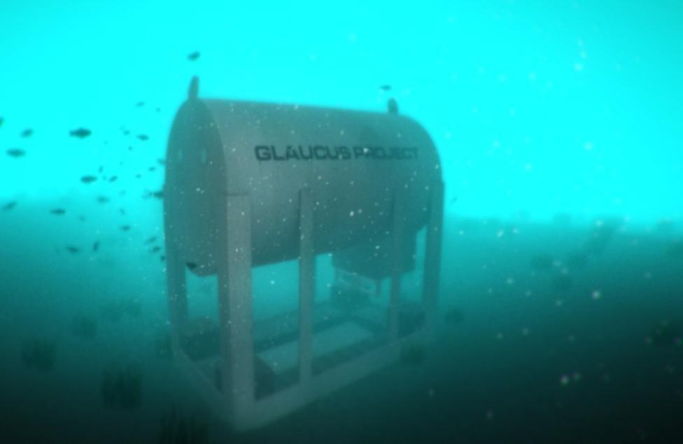 The Glaucus capsule underwater