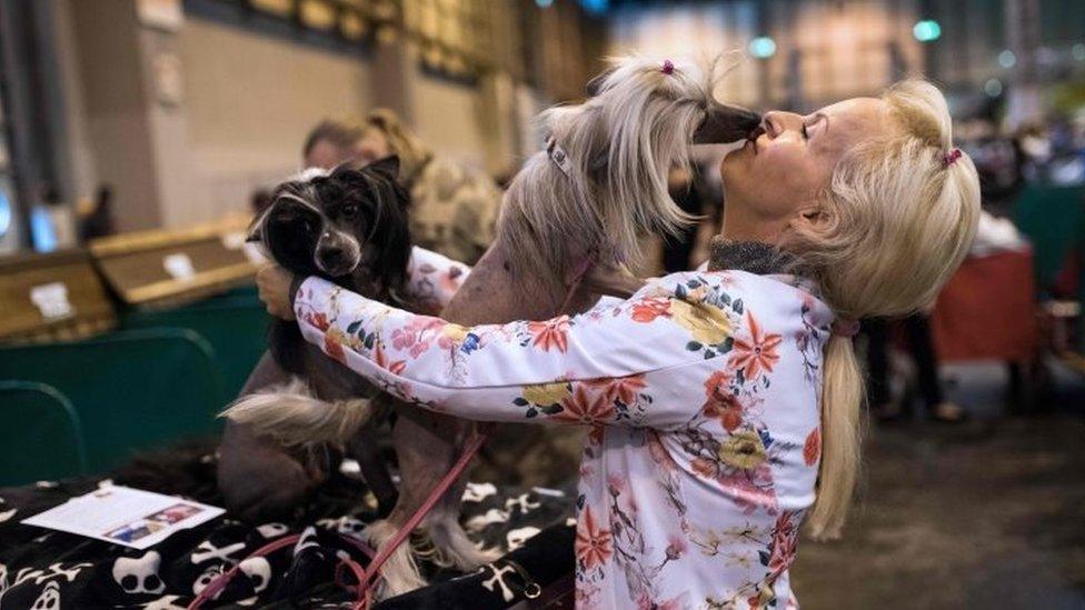 Woman holding her dog