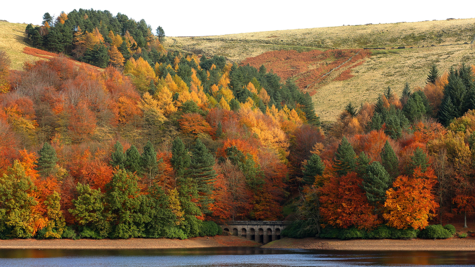 Derwent Reservoir