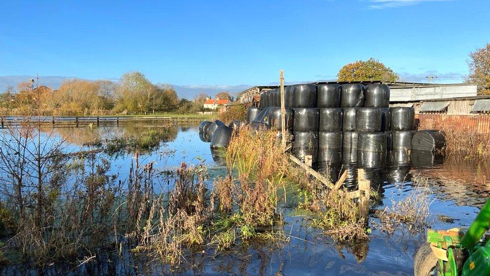 Flooded farmland near Potter Heigham, Norfolk