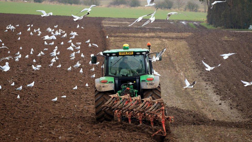 Farmer ploughs field (generic)