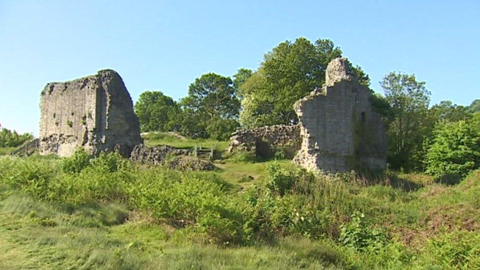 Castell Caergwrle