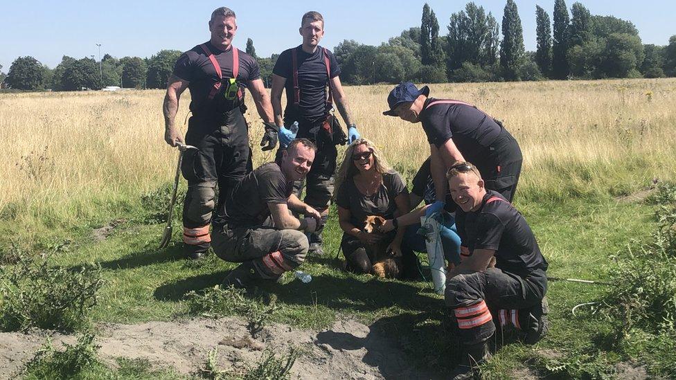 Firefighters and owner with rescued dog