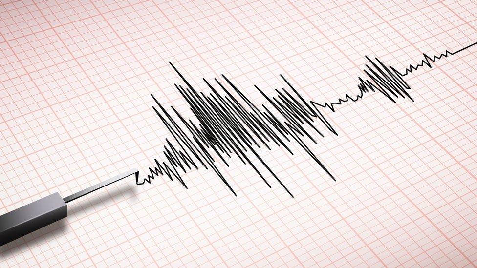 seismograph