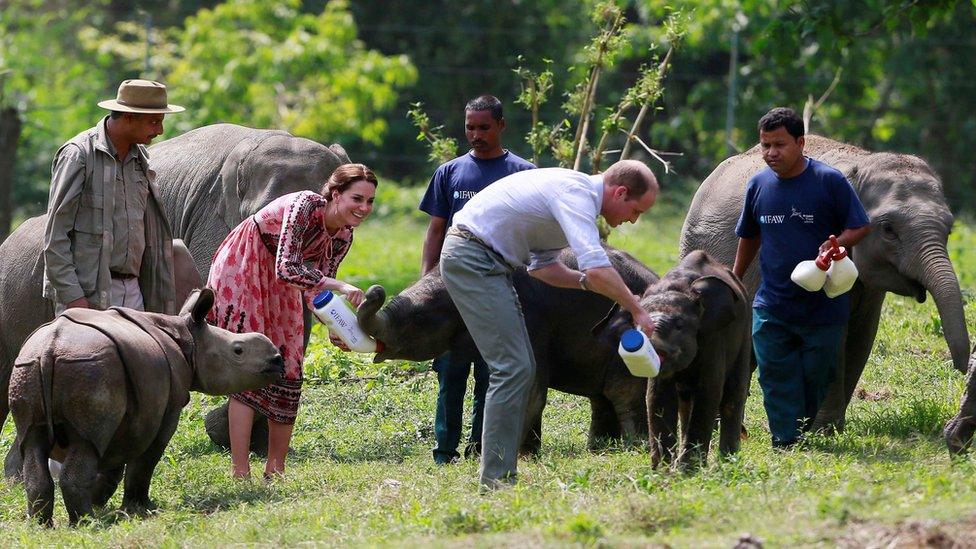 Prince William and the Duchess of Cambridge feed baby elephants at the Centre for Wildlife Rehabilitation and Conservation (CWRC) at Panbari reserve forest in Kaziranga,