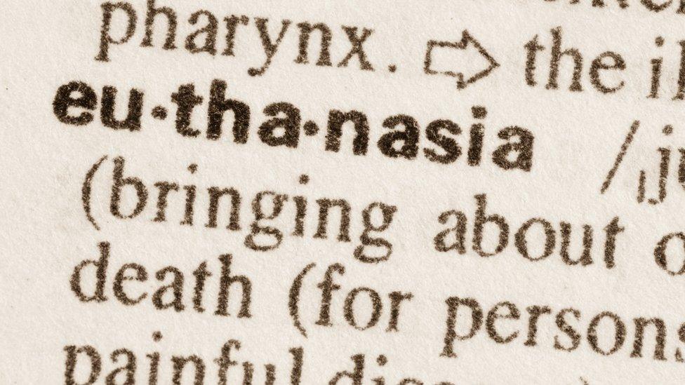 Euthanasia definition in dictionary