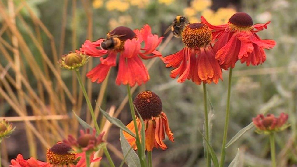 Walled garden