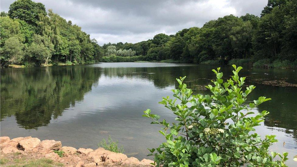 Cannop Ponds shown from the bank with greenery surrounding them